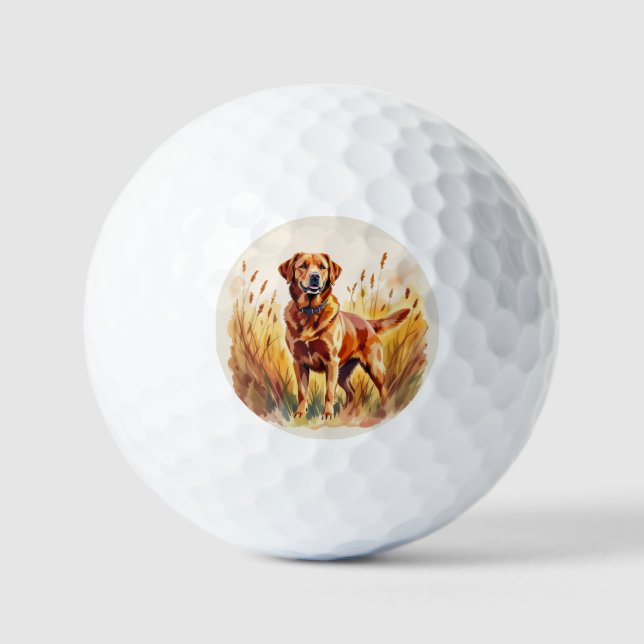 Pelotas De Golf Perro Labrador Retriever Fox Rojo (Anverso)