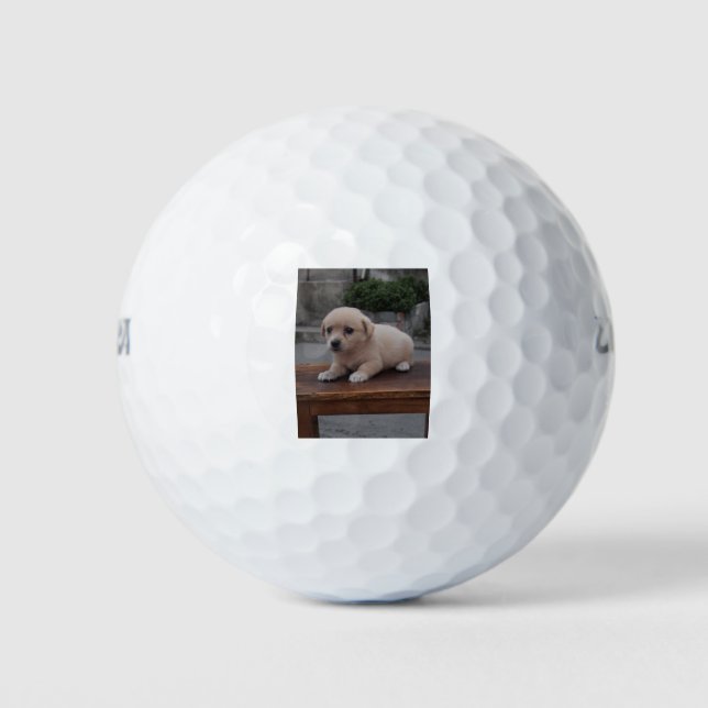 Pelotas De Golf perro pequeño (Anverso)