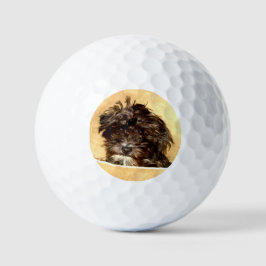Pelotas De Golf Perro Schnoodle