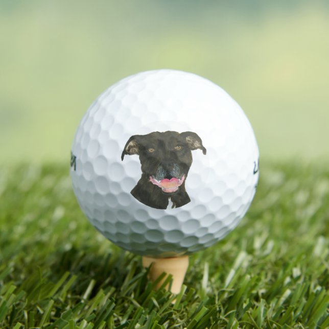 Pelotas De Golf Perro Staffy de Pitbull Negro (Camiseta in situ)