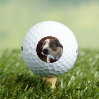 Pelotas De Golf Perro Tamplate