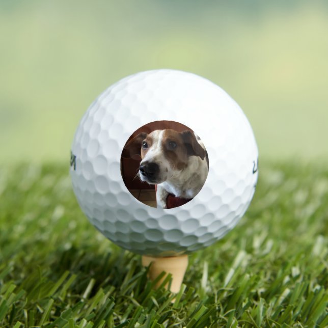Pelotas De Golf Perro Tamplate (Camiseta in situ)