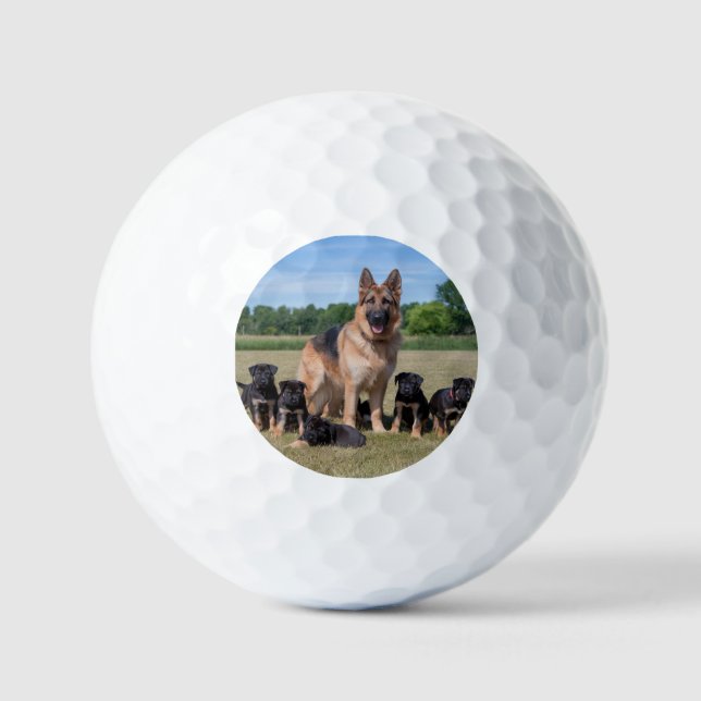 Pelotas De Golf Personalizable Pastor Alemán con Cachorros Adorabl (Anverso)