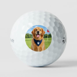 Pelotas de Golf Personalizadas con Foto de Mascota