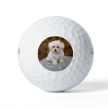 Pelotas de Golf Personalizadas con Foto de Mascota