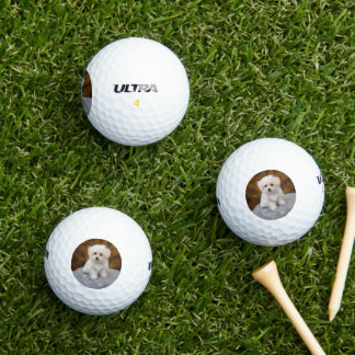 Pelotas de Golf Personalizadas con Foto de Mascota