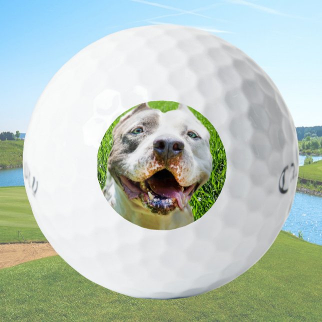 Pelotas de Golf Personalizadas Con Foto de Perro C (Subido por el creador)