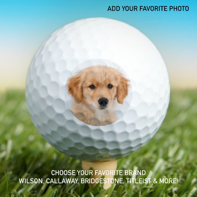 Pelotas De Golf Personalizado Cara de perro foto personalizada cre (Subido por el creador)