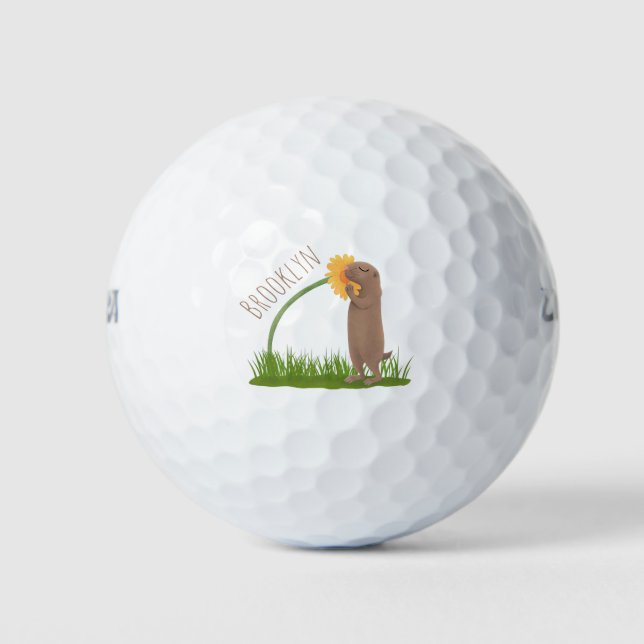 Pelotas De Golf Personalizado de flor de esnifado de perro de prad (Anverso)