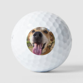 Pelotas De Golf Personalizado Foto de perro personalizada