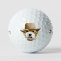 Personalizado Mascota Foto de perro Moderna person