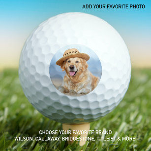 Pelotas De Golf Personalizado Mascota Foto de perro Moderna person