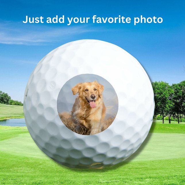 Pelotas De Golf Personalizado Mascota Foto de perro Moderna person (Subido por el creador)