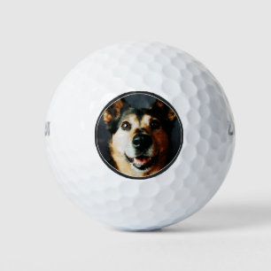 Pelotas De Golf Personalizado Photo Dog Dad