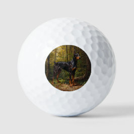 Pelotas De Golf Pinscher Doberman