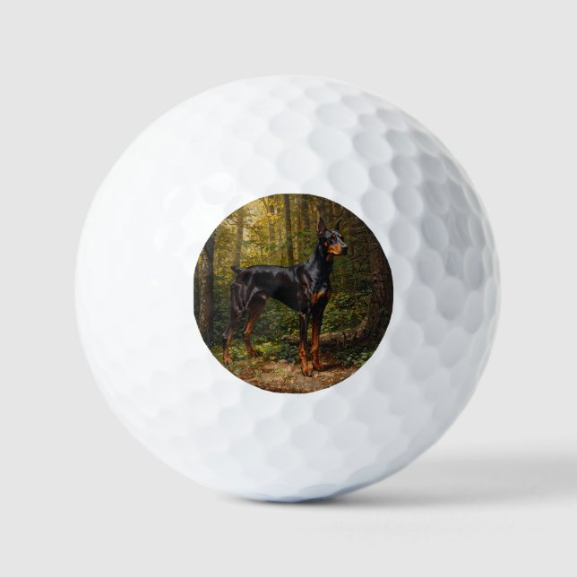 Pelotas De Golf Pinscher Doberman (Anverso)