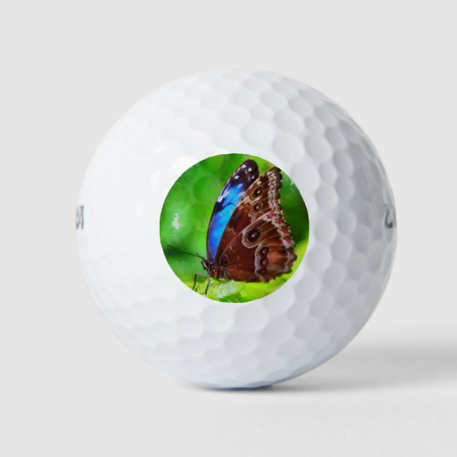 Pelotas De Golf Pintura de mariposa (Anverso)