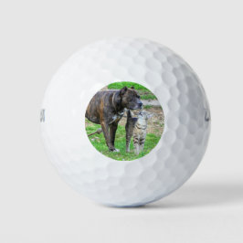 Pelotas De Golf Pit Bull y Cat