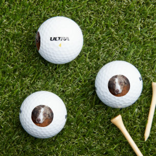 Pelotas De Golf planicie de tendido de merle rojo australiano