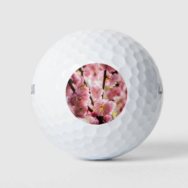 Pelotas De Golf Pluma de flores - Paradismo rosa (Anverso)