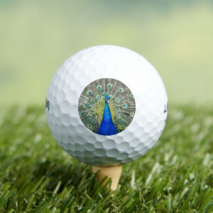 Pelotas De Golf Pluma de plumas de pavo real azul