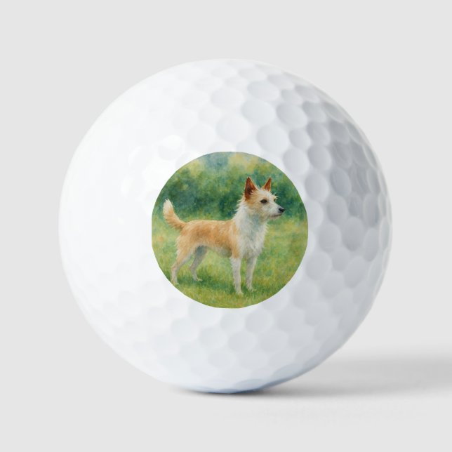Pelotas De Golf Podenco Portugués (Anverso)