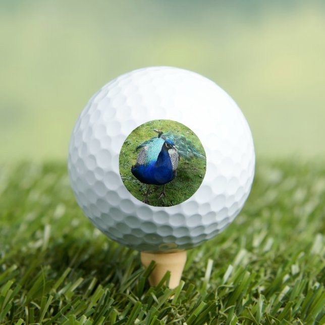 Pelotas De Golf Poder del Pavo Real Regio (Camiseta in situ)