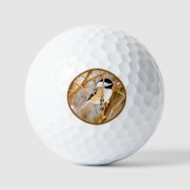 Pelotas De Golf Pollito de punta negra - Fotografía original (Anverso)