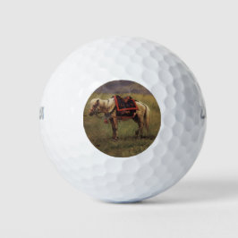Pelotas De Golf Pony Himalaya (Caballo pequeño) (Vasily Vereshchag
