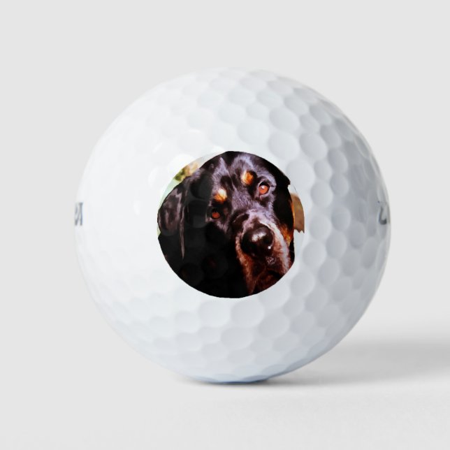 Pelotas De Golf Portait Mascota artístico Rottweiler (Anverso)