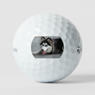 Pelotas De Golf primer tendido de cáscara siberiano