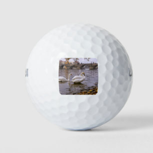 Pelotas De Golf Puente Swans y Charles en Praga