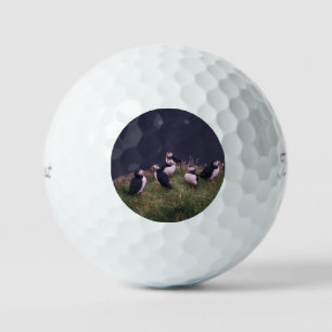 Pelotas De Golf Puffins atlánticos