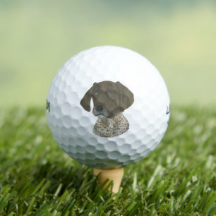 Pelotas De Golf Puntero de Hígado y Alemán Blanco