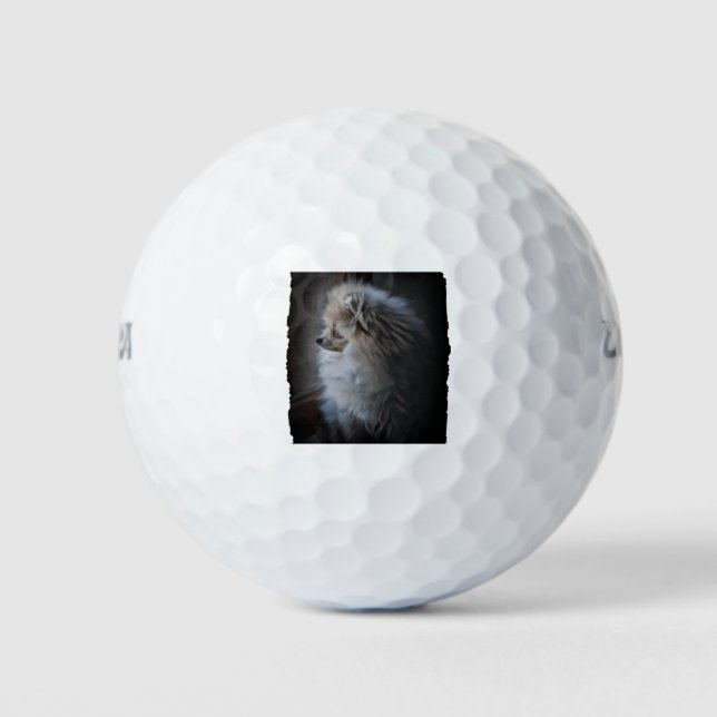 Pelotas De Golf Puppy Pomerania (Anverso)