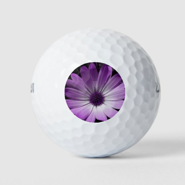 Pelotas De Golf Purple Daisy Flower Golf Ball (Anverso)