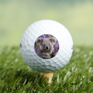 Pelotas De Golf Purple Jacaranda Koala Bear,