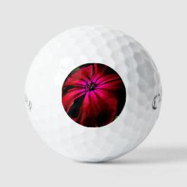 Pelotas De Golf Purple Wild Flower css gbcna