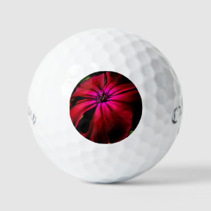 Pelotas De Golf Purple Wild Flower css gbcnm