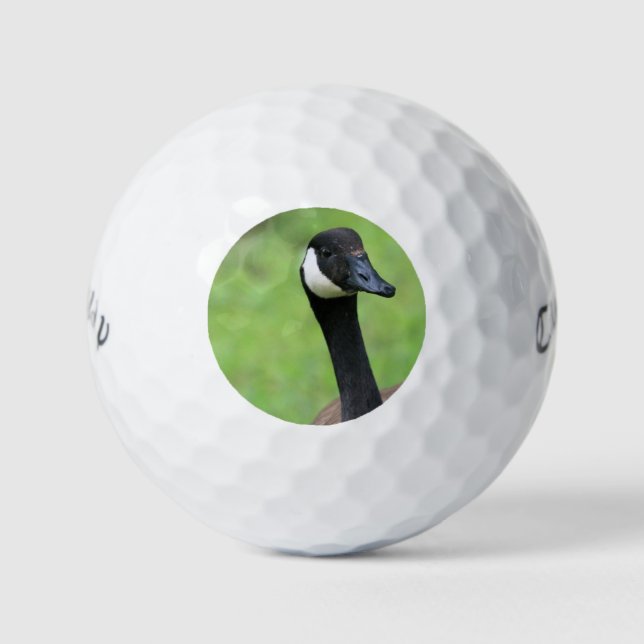 Pelotas De Golf ¿Qué? (Anverso)
