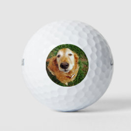 Pelotas De Golf Quién es un buen chico