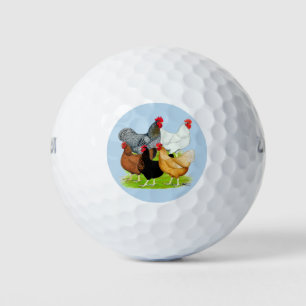 Pelotas De Golf Quinteto de pollo vinculado al sexo