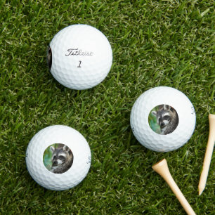 Pelotas De Golf Raccoon 001