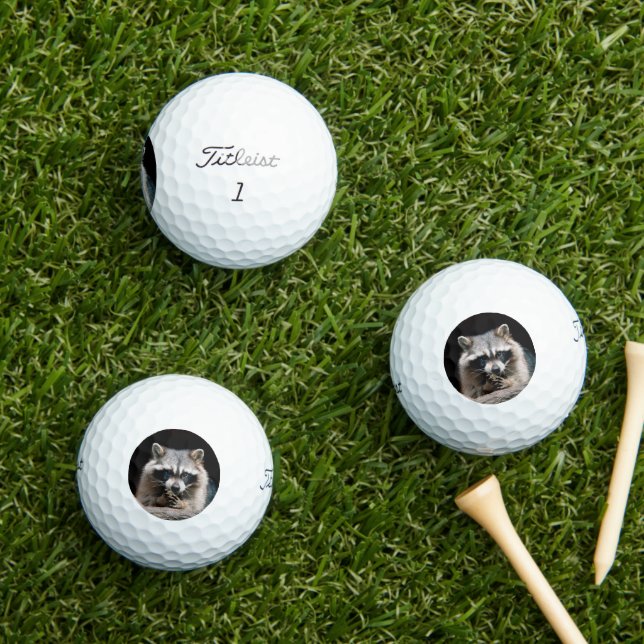 Pelotas De Golf Raccoon 004 (Césped in situ)