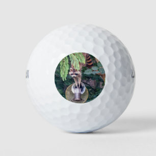 Pelotas De Golf Raccoon montando el alimentador de aves