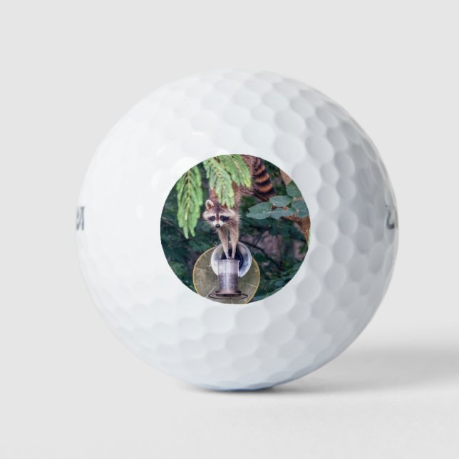 Pelotas De Golf Raccoon montando el alimentador de aves (Anverso)