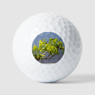 Pelotas De Golf Rama verde suave en el viento
