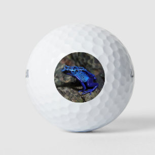 Pelotas De Golf Rana Dart de veneno azul, Rana azul brillante