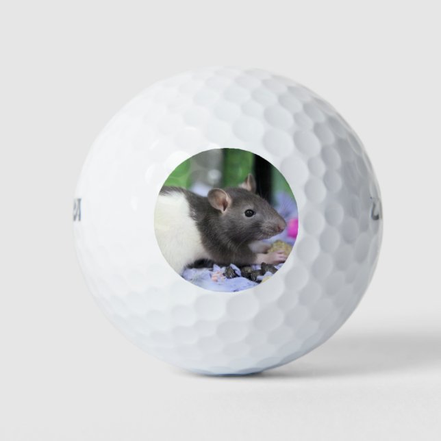 Pelotas De Golf Rata de lilo (Anverso)