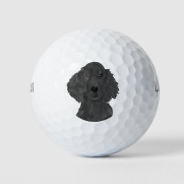 Pelotas De Golf Recuperador plano